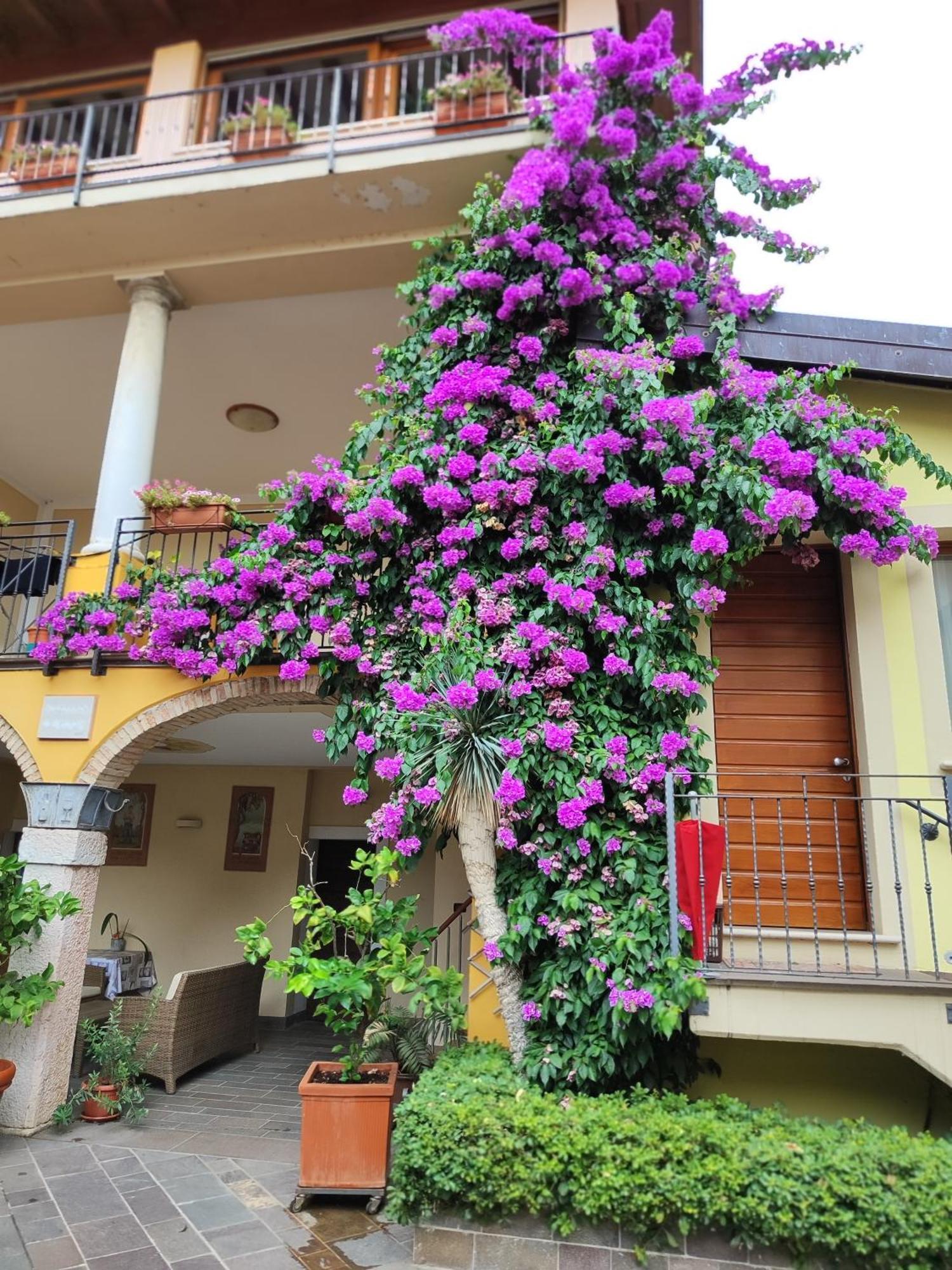 Agriturismo Il Barone Moniga del Garda Exterior foto